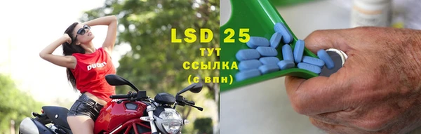 винт Новозыбков