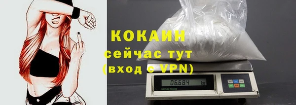мдма Новодвинск