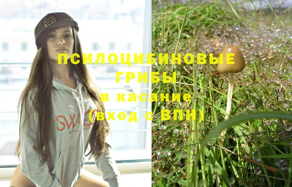 винт Новозыбков