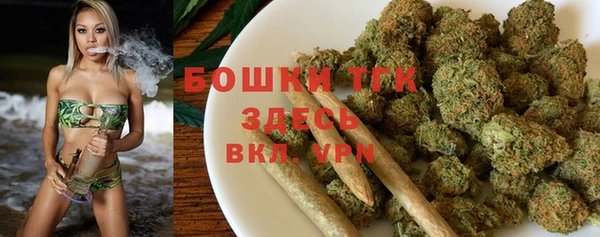 мдма Новодвинск
