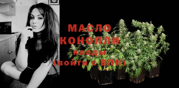 винт Новозыбков