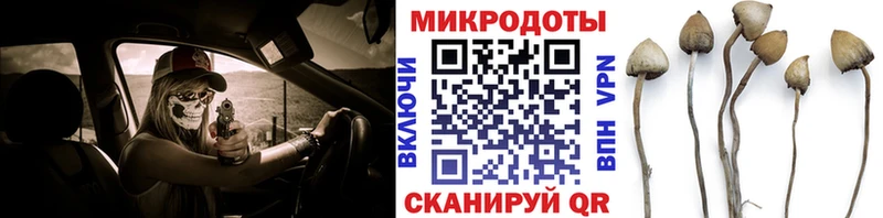 MEGA зеркало  Кисловодск  Галлюциногенные грибы Cubensis  как найти наркотики 