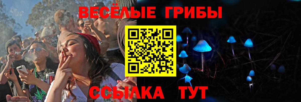 Псилоцибиновые грибы прущие грибы Кисловодск