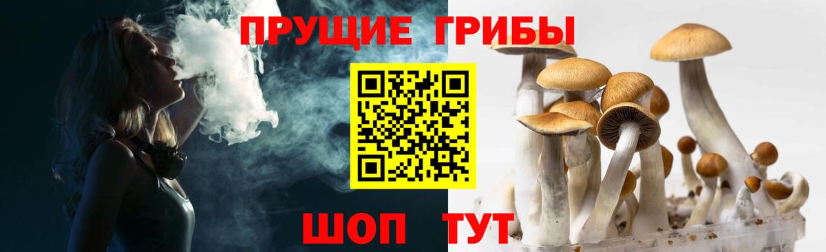 Кисловодск  дарнет шоп  Вход с VPN  Галлюциногенные грибы Psilocybe 